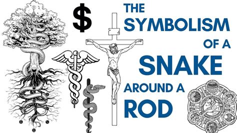 ama snake symbol.